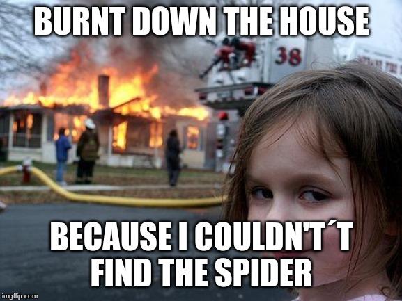 Disaster Girl | BURNT DOWN THE HOUSE; BECAUSE I COULDN'T´T FIND THE SPIDER | image tagged in memes,disaster girl | made w/ Imgflip meme maker