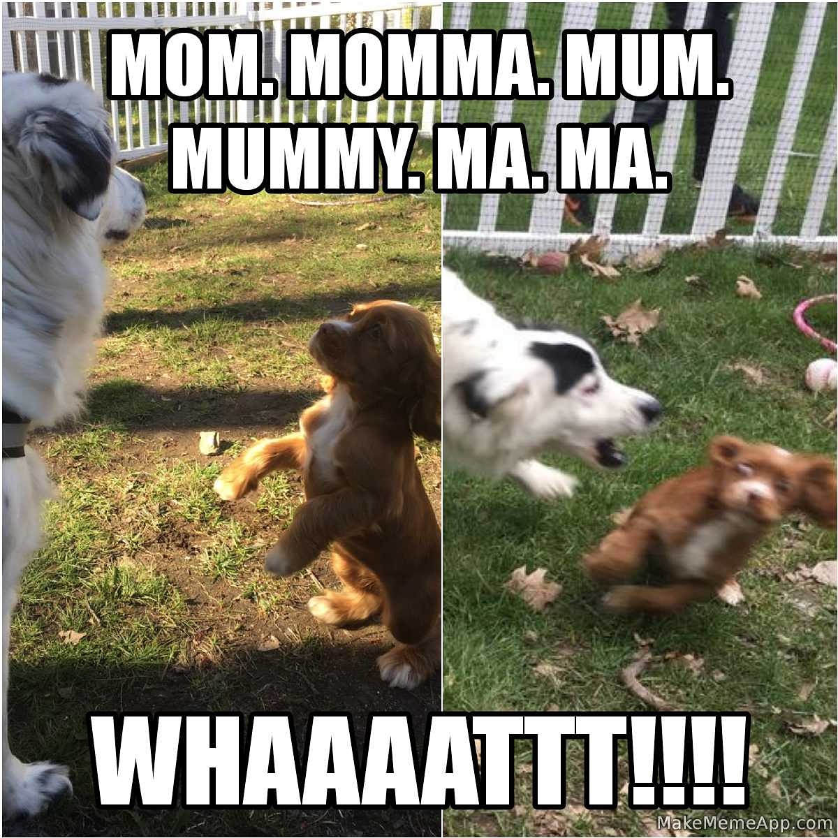 Dog parenting Blank Meme Template