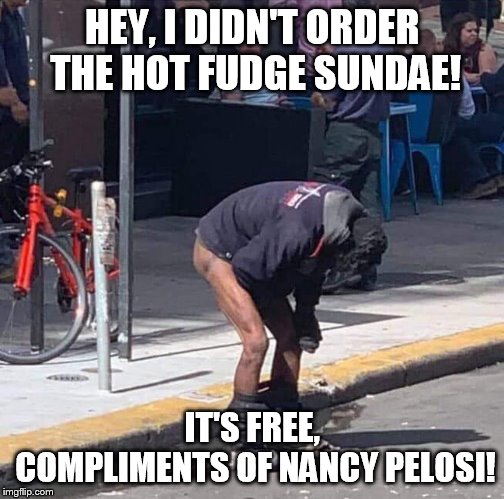 San Francisco treat | HEY, I DIDN'T ORDER THE HOT FUDGE SUNDAE! IT'S FREE, COMPLIMENTS OF NANCY PELOSI! | image tagged in funny animals | made w/ Imgflip meme maker