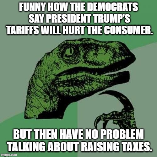 Philosoraptor Meme | FUNNY HOW THE DEMOCRATS SAY PRESIDENT TRUMP'S TARIFFS WILL HURT THE CONSUMER. BUT THEN HAVE NO PROBLEM TALKING ABOUT RAISING TAXES. | image tagged in memes,philosoraptor | made w/ Imgflip meme maker