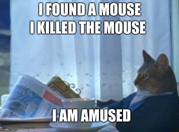 I Should Buy A Boat Cat Meme | I FOUND A MOUSE; I KILLED THE MOUSE; I AM AMUSED | image tagged in memes,i should buy a boat cat | made w/ Imgflip meme maker