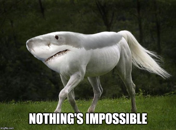 land-shark | NOTHING'S IMPOSSIBLE | image tagged in land-shark | made w/ Imgflip meme maker