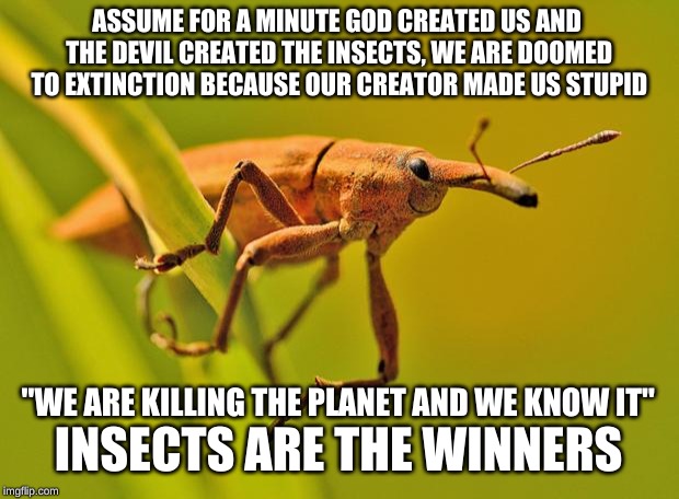 Happy Insect | ASSUME FOR A MINUTE GOD CREATED US AND THE DEVIL CREATED THE INSECTS, WE ARE DOOMED TO EXTINCTION BECAUSE OUR CREATOR MADE US STUPID; INSECTS ARE THE WINNERS; "WE ARE KILLING THE PLANET AND WE KNOW IT" | image tagged in happy insect | made w/ Imgflip meme maker