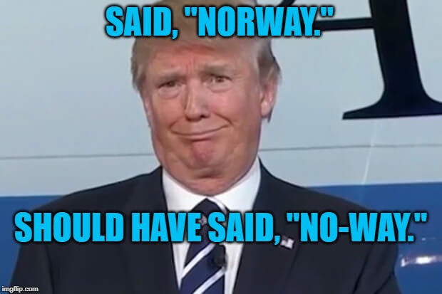 donald trump | SAID, "NORWAY."; SHOULD HAVE SAID, "NO-WAY." | image tagged in donald trump | made w/ Imgflip meme maker