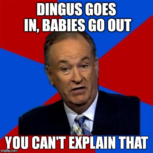 Bill O'Reilly You Can't Explain That | DINGUS GOES IN, BABIES GO OUT | image tagged in bill o'reilly you can't explain that | made w/ Imgflip meme maker