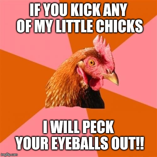 IF YOU KICK ANY OF MY LITTLE CHICKS I WILL PECK YOUR EYEBALLS OUT!! | image tagged in memes,anti joke chicken | made w/ Imgflip meme maker