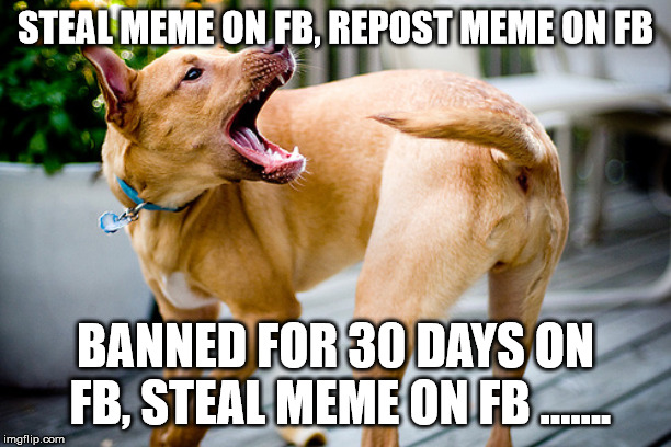 Dog chasing tail | STEAL MEME ON FB, REPOST MEME ON FB; BANNED FOR 30 DAYS ON FB, STEAL MEME ON FB ....... | image tagged in dog chasing tail | made w/ Imgflip meme maker