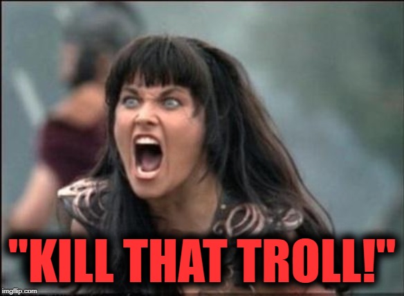 Angry Xena | "KILL THAT TROLL!" | image tagged in angry xena | made w/ Imgflip meme maker