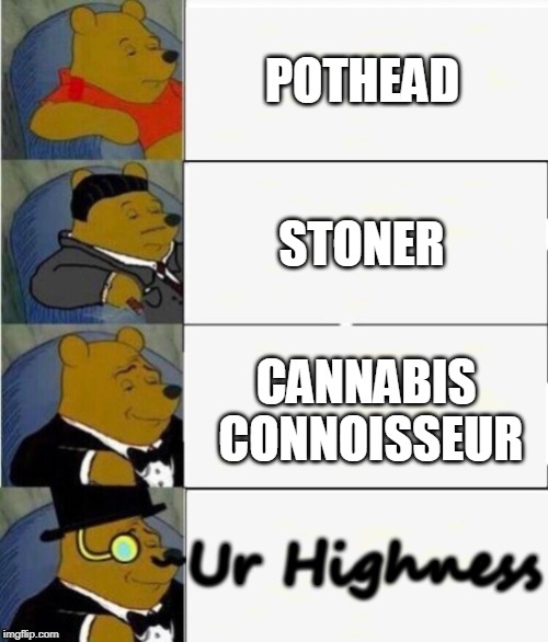 Tuxedo Winnie the Pooh 4 panel | POTHEAD; STONER; CANNABIS CONNOISSEUR; Ur Highness | image tagged in tuxedo winnie the pooh 4 panel | made w/ Imgflip meme maker