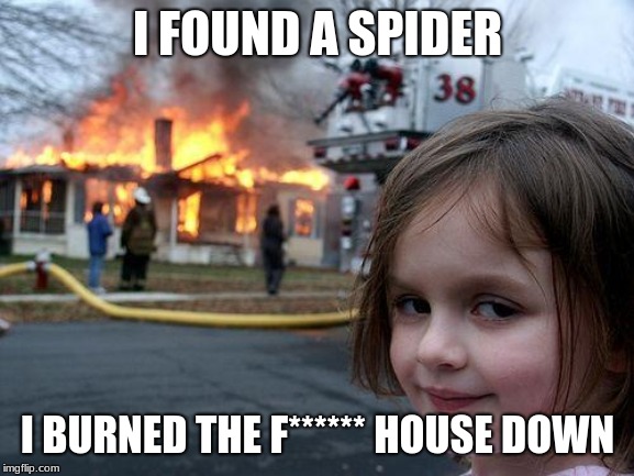 Disaster Girl | I FOUND A SPIDER; I BURNED THE F****** HOUSE DOWN | image tagged in memes,disaster girl | made w/ Imgflip meme maker