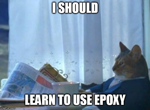 I Should Buy A Boat Cat | I SHOULD; LEARN TO USE EPOXY | image tagged in memes,i should buy a boat cat,AdviceAnimals | made w/ Imgflip meme maker