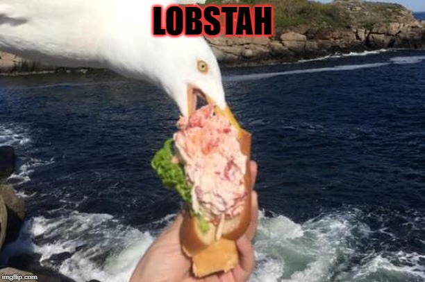 LOBSTAH | made w/ Imgflip meme maker