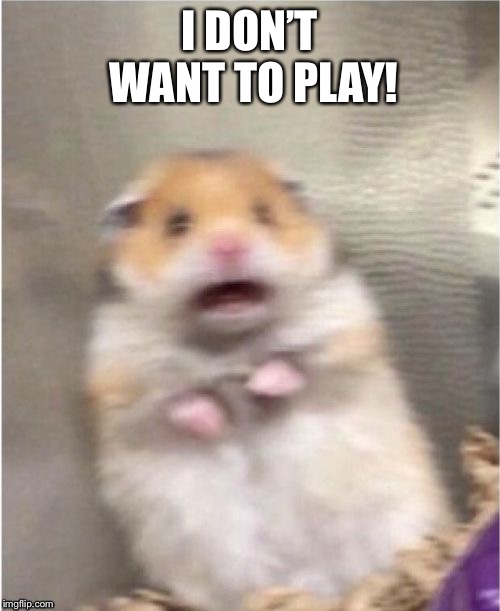 Scared Hamster | I DON’T WANT TO PLAY! | image tagged in scared hamster | made w/ Imgflip meme maker