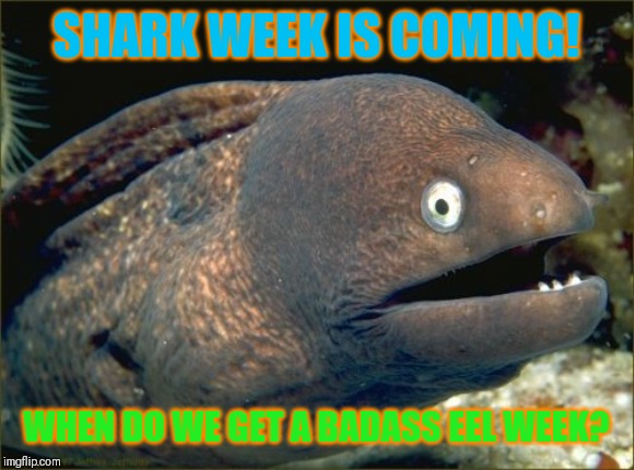 Eelquel rights! | SHARK WEEK IS COMING! WHEN DO WE GET A BADASS EEL WEEK? | image tagged in memes,bad joke eel,shark week | made w/ Imgflip meme maker