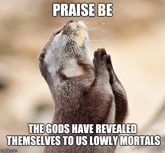 animal praying | PRAISE BE THE GODS HAVE REVEALED THEMSELVES TO US LOWLY MORTALS | image tagged in animal praying | made w/ Imgflip meme maker