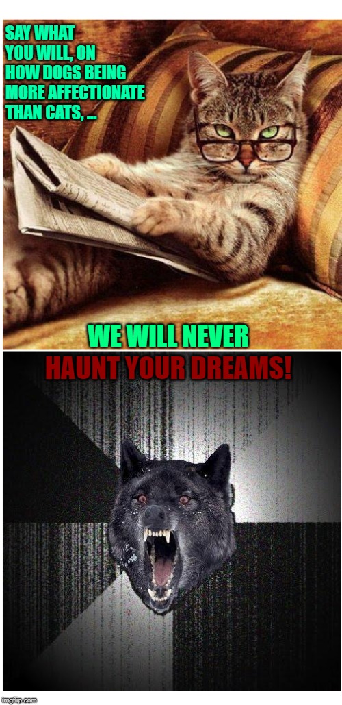 Catty Good - Doggie Bad! | SAY WHAT YOU WILL, ON HOW DOGS BEING MORE AFFECTIONATE THAN CATS, ... WE WILL NEVER; HAUNT YOUR DREAMS! | image tagged in memes,smart cat,cats,dogs,dreams,nightmares | made w/ Imgflip meme maker