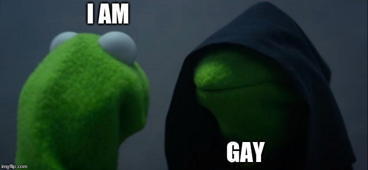 Evil Kermit Meme | I AM GAY | image tagged in memes,evil kermit | made w/ Imgflip meme maker