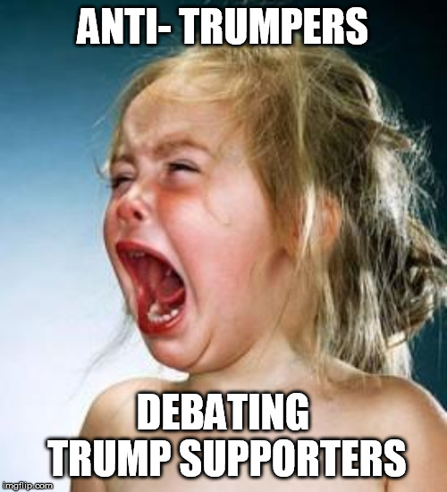 Screaming baby girl | ANTI- TRUMPERS DEBATING TRUMP SUPPORTERS | image tagged in screaming baby girl | made w/ Imgflip meme maker