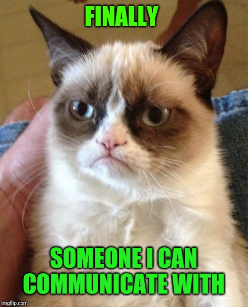 Grumpy Cat Meme | FINALLY SOMEONE I CAN COMMUNICATE WITH | image tagged in memes,grumpy cat | made w/ Imgflip meme maker