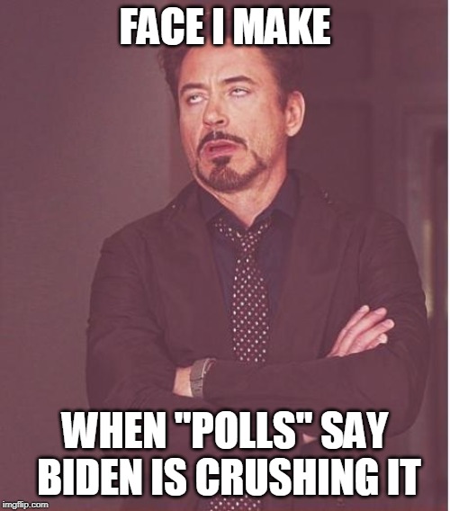 Face You Make Robert Downey Jr | FACE I MAKE; WHEN "POLLS" SAY BIDEN IS CRUSHING IT | image tagged in memes,face you make robert downey jr | made w/ Imgflip meme maker