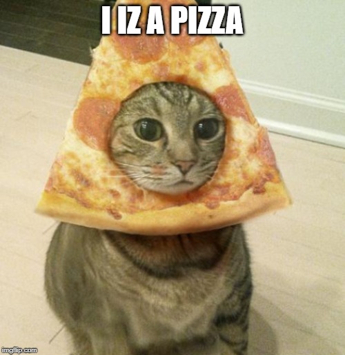 I IZ A PIZZA | made w/ Imgflip meme maker