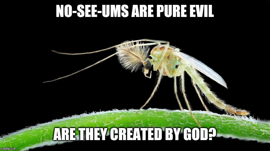 NO-SEE-UMS ARE PURE EVIL; ARE THEY CREATED BY GOD? | made w/ Imgflip meme maker