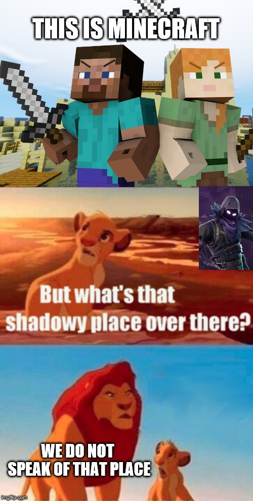Simba Shadowy Place | THIS IS MINECRAFT; WE DO NOT SPEAK OF THAT PLACE | image tagged in memes,simba shadowy place | made w/ Imgflip meme maker