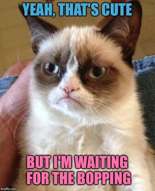 Grumpy Cat Meme | YEAH, THAT'S CUTE BUT I'M WAITING FOR THE BOPPING | image tagged in memes,grumpy cat | made w/ Imgflip meme maker