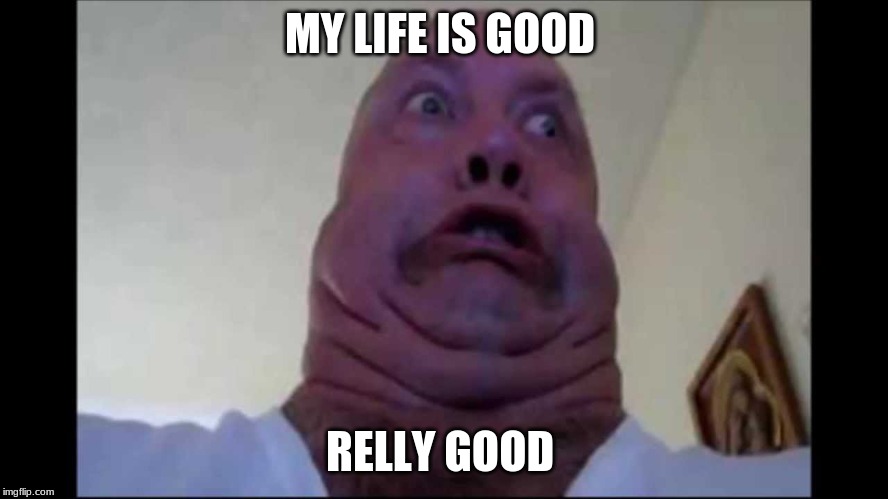Ugly Face | MY LIFE IS GOOD; RELLY GOOD | image tagged in ugly face | made w/ Imgflip meme maker