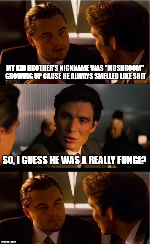 Good Ol' Mushroom! | MY KID BROTHER'S NICKNAME WAS "MUSHROOM" GROWING UP CAUSE HE ALWAYS SMELLED LIKE SHIT; SO, I GUESS HE WAS A REALLY FUNGI? | image tagged in memes,inception | made w/ Imgflip meme maker