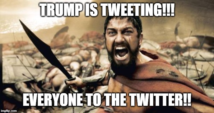 Sparta Leonidas | TRUMP IS TWEETING!!! EVERYONE TO THE TWITTER!! | image tagged in memes,sparta leonidas | made w/ Imgflip meme maker
