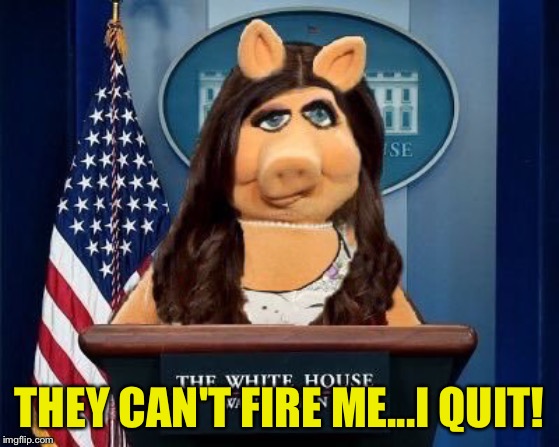 Piggy Sanders | THEY CAN'T FIRE ME...I QUIT! | image tagged in piggy sanders | made w/ Imgflip meme maker