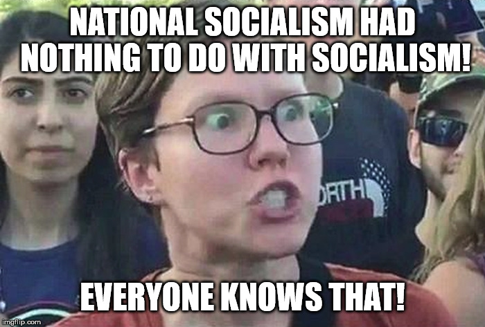 Triggered Liberal | NATIONAL SOCIALISM HAD NOTHING TO DO WITH SOCIALISM! EVERYONE KNOWS THAT! | image tagged in triggered liberal | made w/ Imgflip meme maker