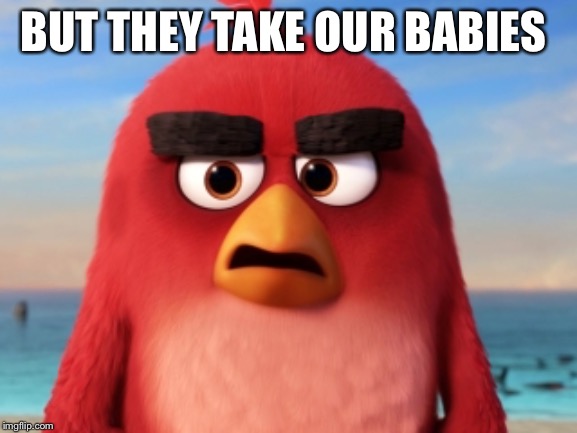 Angry Birds | BUT THEY TAKE OUR BABIES | image tagged in angry birds | made w/ Imgflip meme maker