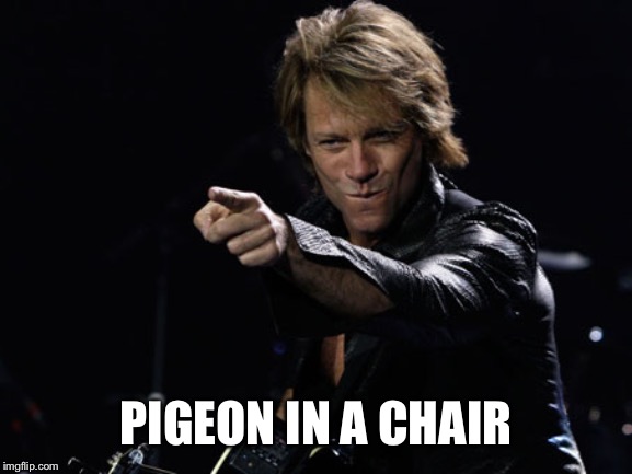 Bon Jovi Finger Point | PIGEON IN A CHAIR | image tagged in bon jovi finger point | made w/ Imgflip meme maker