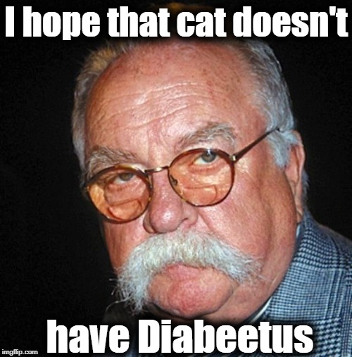 I hope that cat doesn't have Diabeetus | made w/ Imgflip meme maker