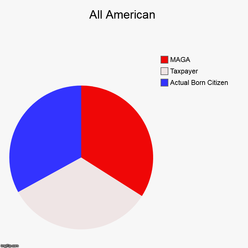 All American | Actual Born Citizen, Taxpayer, MAGA | image tagged in charts,pie charts | made w/ Imgflip chart maker