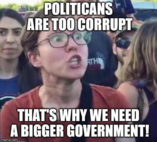 Angry Liberal | POLITICANS ARE TOO CORRUPT; THAT'S WHY WE NEED A BIGGER GOVERNMENT! | image tagged in angry liberal | made w/ Imgflip meme maker