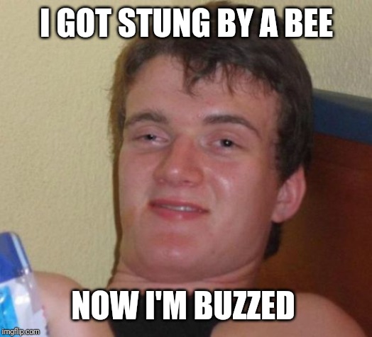 10 Guy Meme | I GOT STUNG BY A BEE; NOW I'M BUZZED | image tagged in memes,10 guy | made w/ Imgflip meme maker