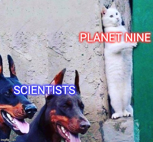 hide cat dogs | PLANET NINE; SCIENTISTS | image tagged in hide cat dogs | made w/ Imgflip meme maker