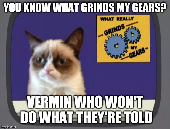 Grumpy Cat Grinds My Gears | YOU KNOW WHAT GRINDS MY GEARS? VERMIN WHO WON'T DO WHAT THEY'RE TOLD | image tagged in grumpy cat grinds my gears | made w/ Imgflip meme maker