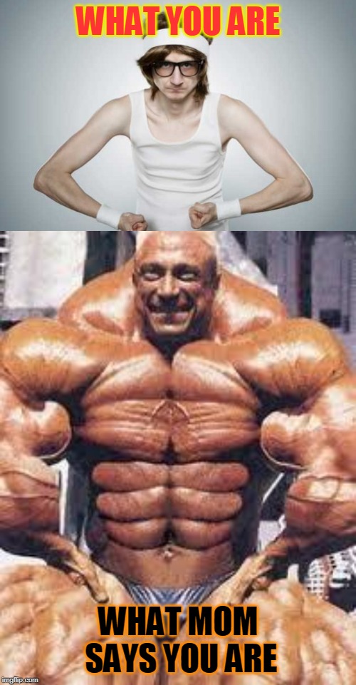 Cotton Bodybuilding Weights, Body Building Memes