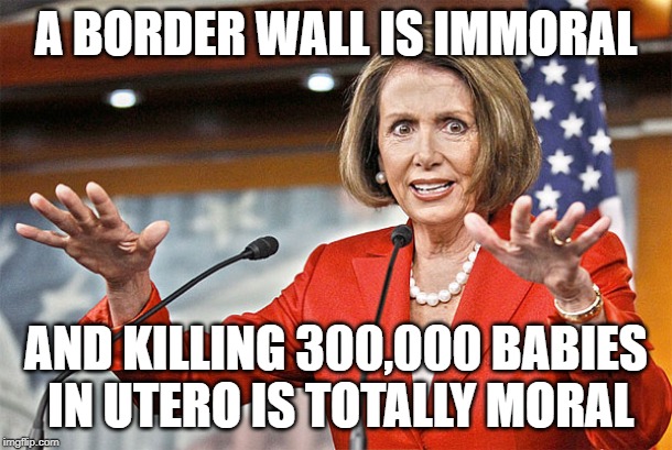 Nancy Pelosi Is Immoral | A BORDER WALL IS IMMORAL; AND KILLING 300,000 BABIES IN UTERO IS TOTALLY MORAL | image tagged in nancy pelosi is crazy,abortion,abortion is murder,good old nancy pelosi,immigration | made w/ Imgflip meme maker