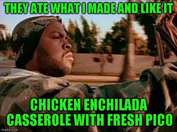 Today Was A Good Day Meme | THEY ATE WHAT I MADE AND LIKE IT CHICKEN ENCHILADA CASSEROLE WITH FRESH PICO | image tagged in memes,today was a good day | made w/ Imgflip meme maker