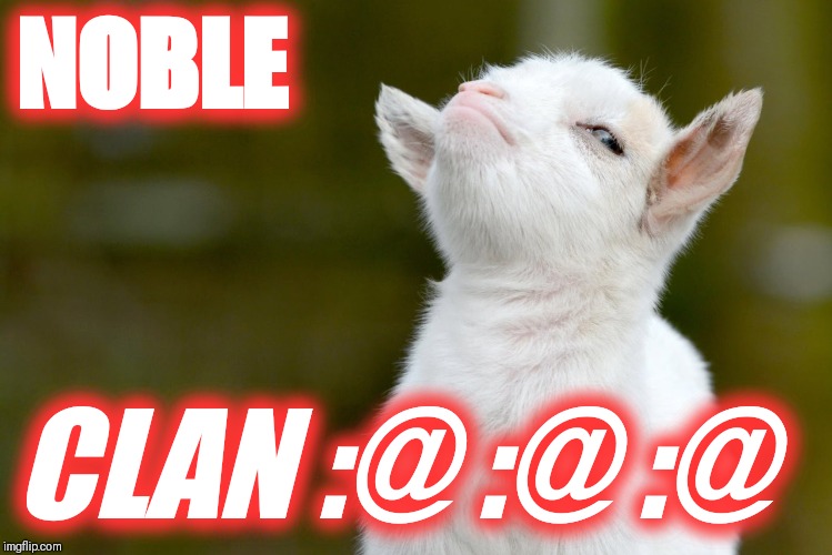 NOBLE; CLAN :@ :@ :@ | image tagged in proud baby goat | made w/ Imgflip meme maker