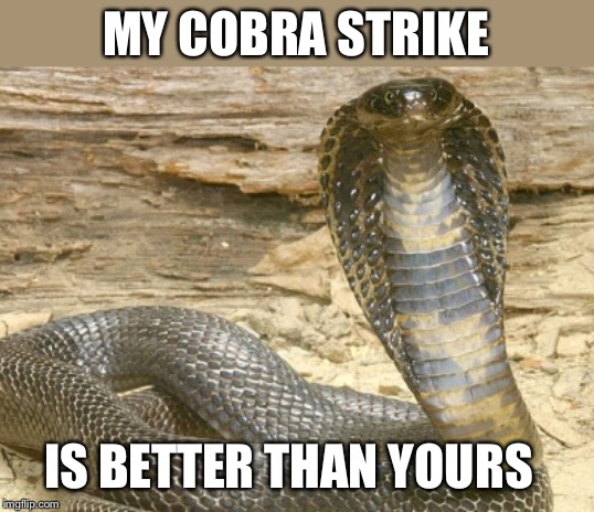 King Cobra | MY COBRA STRIKE IS BETTER THAN YOURS | image tagged in king cobra | made w/ Imgflip meme maker