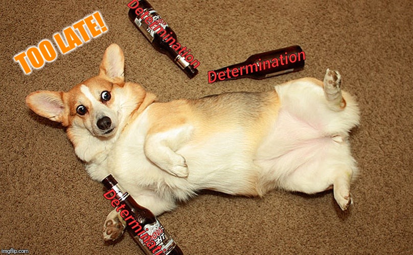 Determination Determination Determination TOO LATE! | made w/ Imgflip meme maker