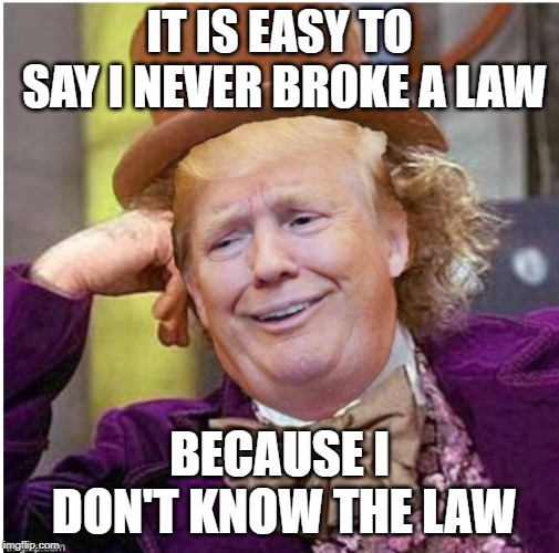 Wonka Trump | IT IS EASY TO SAY I NEVER BROKE A LAW; BECAUSE I DON'T KNOW THE LAW | image tagged in wonka trump | made w/ Imgflip meme maker