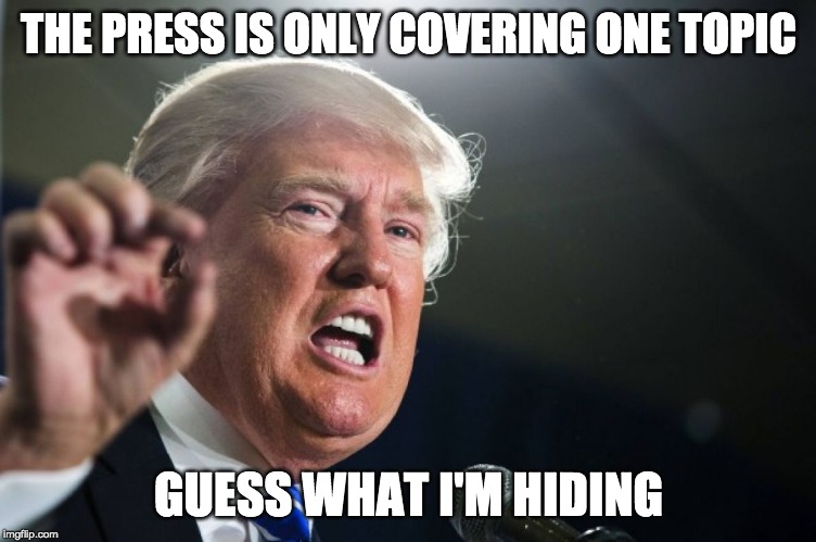 donald trump | THE PRESS IS ONLY COVERING ONE TOPIC; GUESS WHAT I'M HIDING | image tagged in donald trump | made w/ Imgflip meme maker