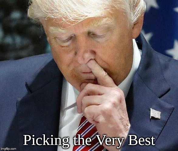 Trump Nose | Picking the Very Best | image tagged in trump nose | made w/ Imgflip meme maker